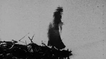 Backdrop to the movie "Begotten" #1868628