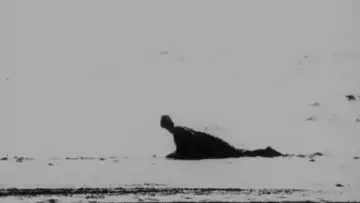 Backdrop to the movie "Begotten" #1868629