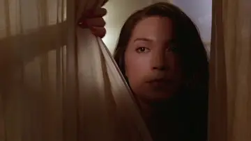 Backdrop to the movie "M. Butterfly" #1097401