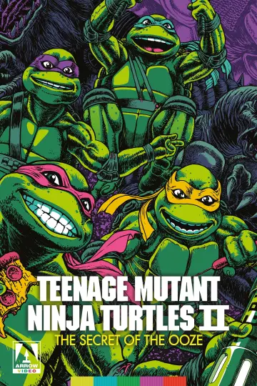 Poster to the movie "Teenage Mutant Ninja Turtles II: The Secret of the Ooze" #871181