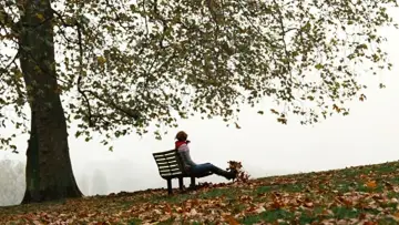 Backdrop to the movie "Imagine Me & You" #1647434
