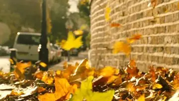 Backdrop to the movie "Imagine Me & You" #1647437
