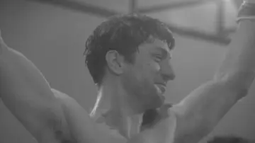 Backdrop to the movie "Raging Bull" #656112