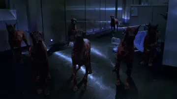 Backdrop to the movie "Resident Evil" #1737244