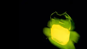 Backdrop to the movie "Re-Animator" #875508