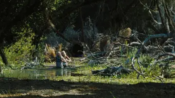 Backdrop to the movie "The Devil