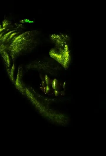 The Incredible Hulk