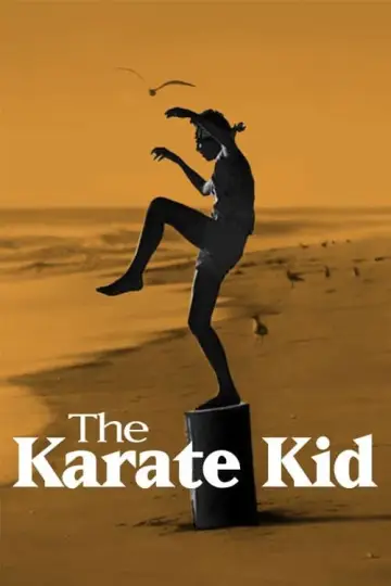 Poster to the movie "The Karate Kid" #649211