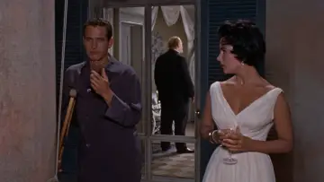 Backdrop to the movie "Cat on a Hot Tin Roof" #1648044