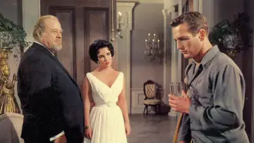 Backdrop to the movie "Cat on a Hot Tin Roof" #902015