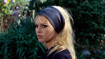 Backdrop to the movie "Contempt" #945779