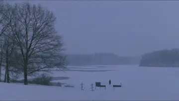 Backdrop to the movie "Dead Poets Society" #573880