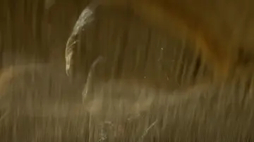 Backdrop to the movie "Indiana Jones and the Kingdom of the Crystal Skull" #1723956