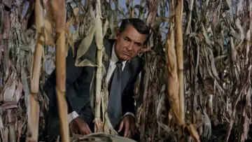 Backdrop to the movie "North by Northwest" #672486
