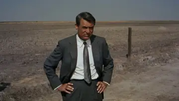 Backdrop to the movie "North by Northwest" #672496