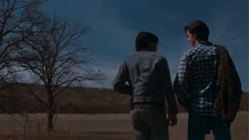 Backdrop to the movie "The Outsiders" #648909