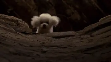 Backdrop to the movie "The Silence of the Lambs" #749466