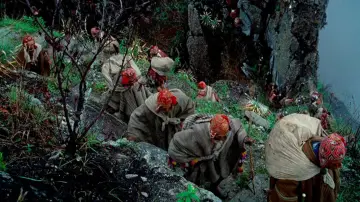 Backdrop to the movie "Aguirre, the Wrath of God" #874864