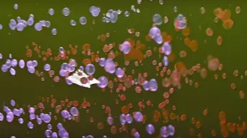 Backdrop to the movie "Fantastic Voyage" #996429