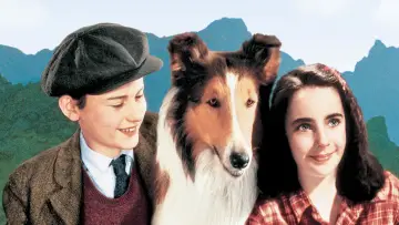 Backdrop to the movie "Lassie Come Home" #1097303