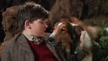 Backdrop to the movie "Lassie Come Home" #1838888