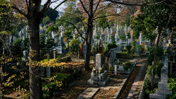 Backdrop to the movie "Lady Snowblood" #986060