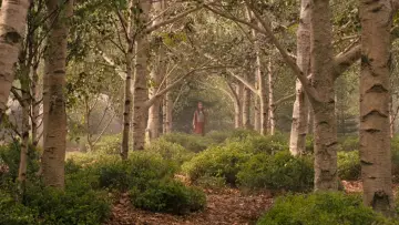 Backdrop to the movie "The Chronicles of Narnia: Prince Caspian" #1530264