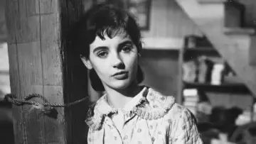 Backdrop to the movie "The Diary of Anne Frank" #990138