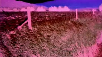 Backdrop to the movie "House of 1000 Corpses" #867749