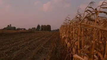 Backdrop to the movie "In the Mouth of Madness" #1862052