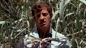 Backdrop to the movie "Pierrot le Fou" #861718