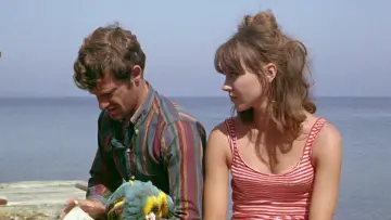 Backdrop to the movie "Pierrot le Fou" #861742