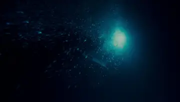 Backdrop to the movie "The Abyss" #628218