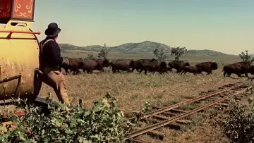 Backdrop to the movie "Around the World in 80 Days" #1199676