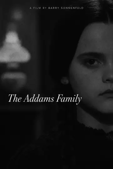 Poster to the movie "The Addams Family" #1827222