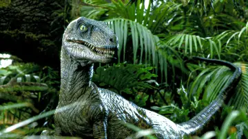 Backdrop to the movie "Jurassic Park" #598034