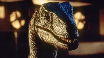 Backdrop to the movie "Jurassic Park" #598051