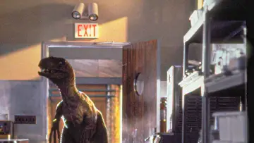 Backdrop to the movie "Jurassic Park" #598059
