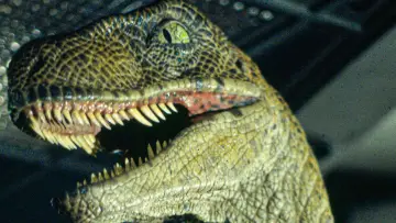 Backdrop to the movie "Jurassic Park" #598064