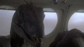 Backdrop to the movie "Jurassic Park III" #634511