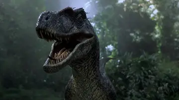 Backdrop to the movie "Jurassic Park III" #634518
