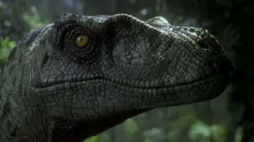 Backdrop to the movie "Jurassic Park III" #634519