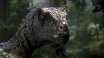 Backdrop to the movie "Jurassic Park III" #634520
