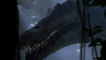 Backdrop to the movie "Jurassic Park III" #634531