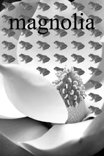 Poster to the movie "Magnolia" #1532831