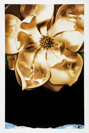 Poster to the movie "Magnolia" #670173