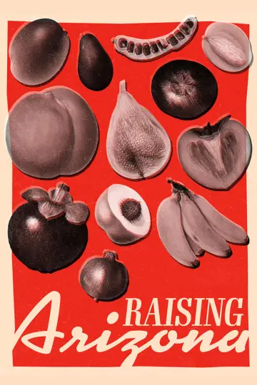 Poster to the movie "Raising Arizona" #124854