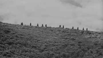 Backdrop to the movie "Seven Samurai" #605743