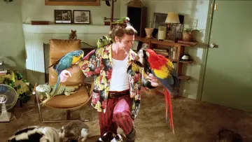Backdrop to the movie "Ace Ventura: Pet Detective" #1724586
