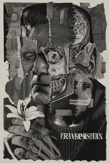 Poster to the movie "Frankenstein" #1208660